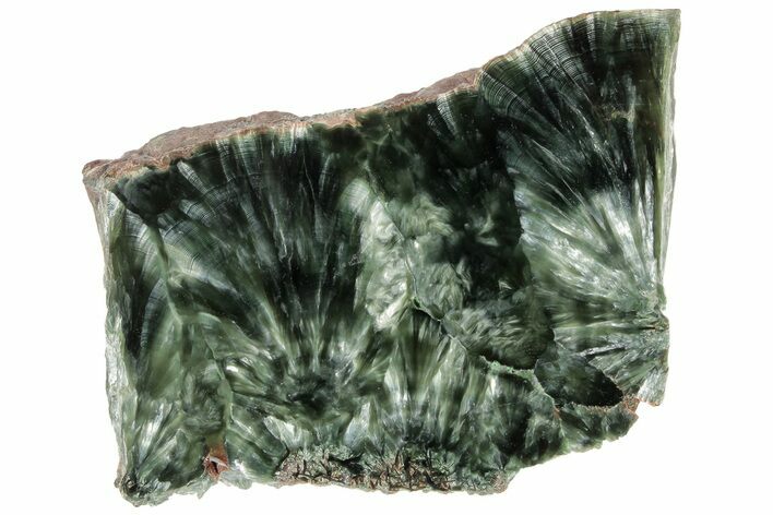 Polished Seraphinite Slab - Siberia #183516
